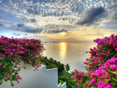 beautiful scenery 10