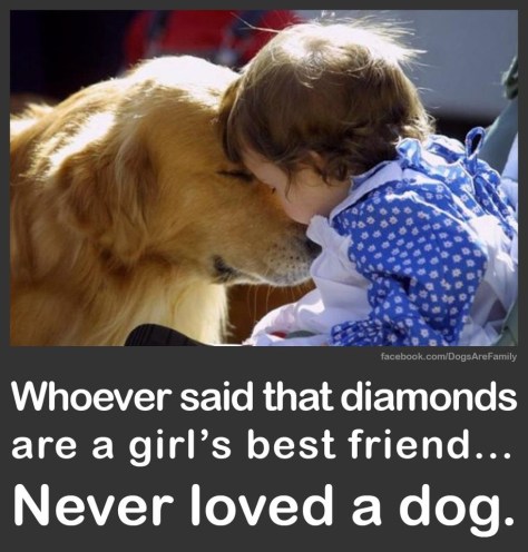 diamonds vs dogs