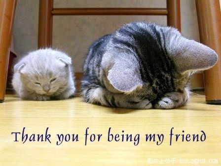 thank you for being my friend