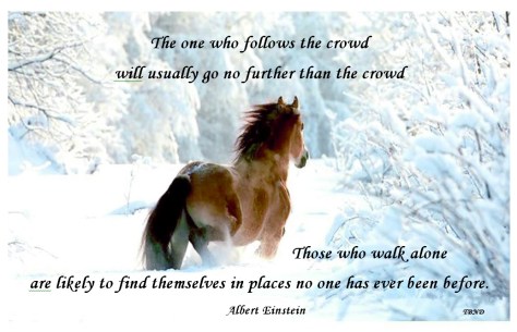 Dare to walk alone