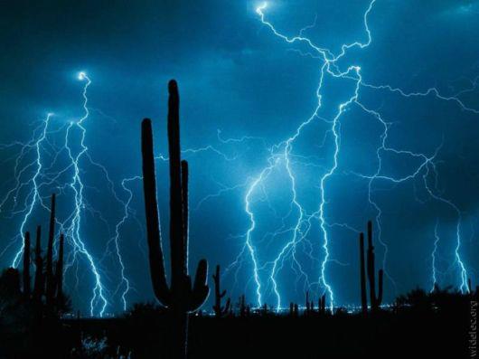 lightening and cactus