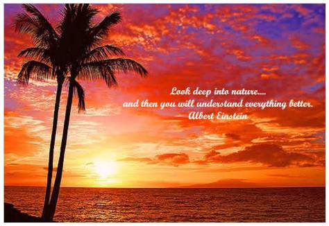look into nature
