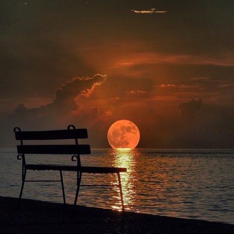 Photo:  Sert Mehmet
